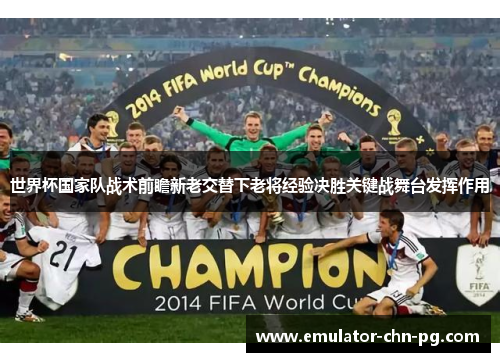 世界杯国家队战术前瞻新老交替下老将经验决胜关键战舞台发挥作用 世界杯国家队战术前瞻新老交替下老将经验决胜关键战舞台发挥作用