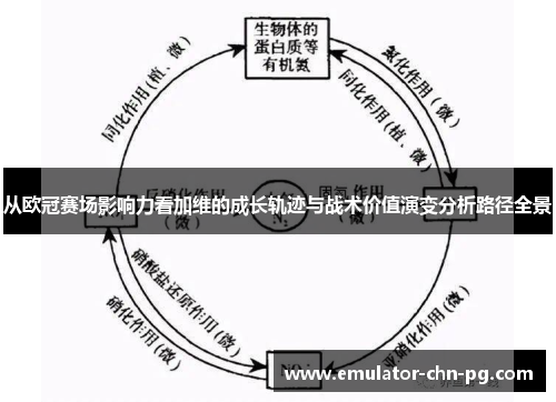从欧冠赛场影响力看加维的成长轨迹与战术价值演变分析路径全景