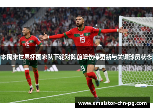 本周末世界杯国家队下轮对阵前瞻伤停更新与关键球员状态